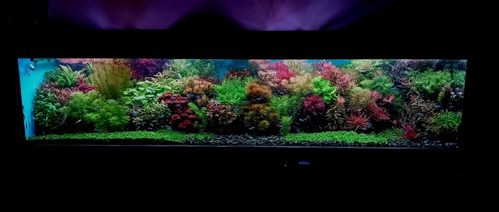20261020_183439.webp