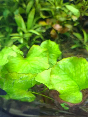 20261012_170812.webp