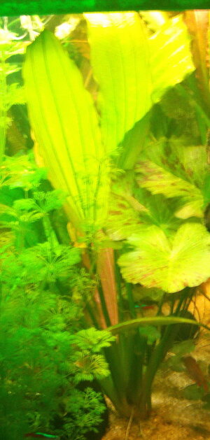 IMAG0033_11.jpg