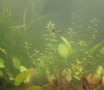 _3070018.JPG