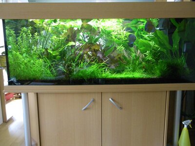 800l Becken.JPG
