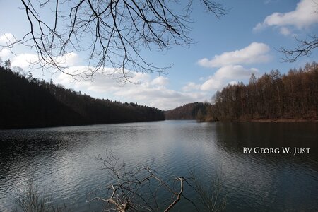 IMG_7925.JPG