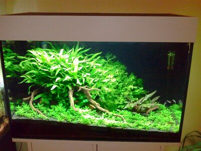 Foto0195 (Medium).jpg