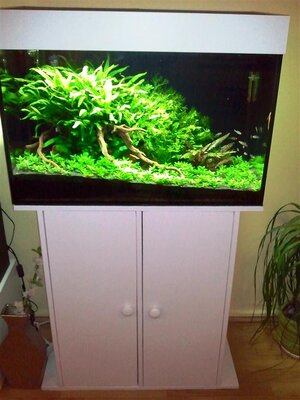 Foto0196 (Medium).jpg