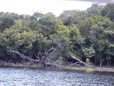P1120222.JPG