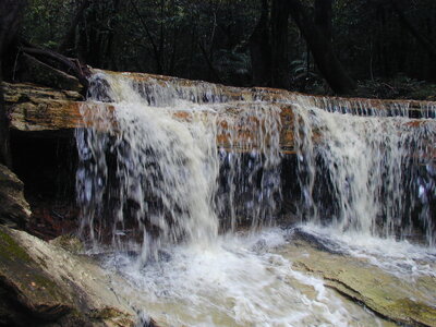 P1010150.JPG
