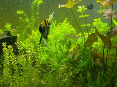 11032011227.jpg
