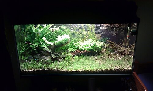 IMAG0520.jpg