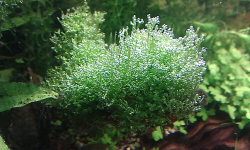 IMAG0522.jpg