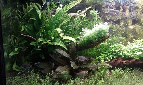 IMAG0523.jpg