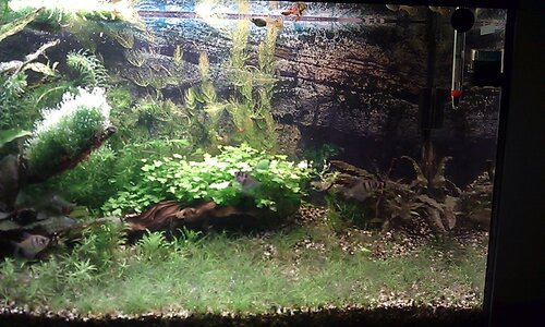 IMAG0524.jpg