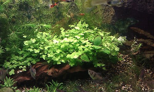 IMAG0526.jpg