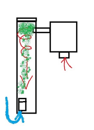 co2.jpg