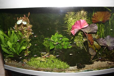 _MG_0314.jpg