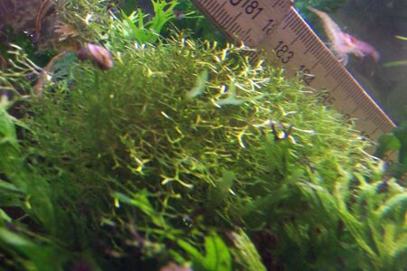 K1024_100_1045.JPG
