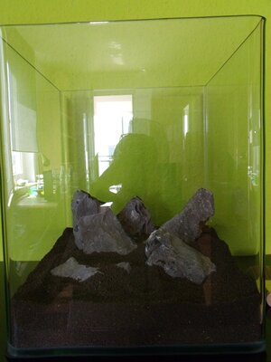 005 - Kopie.JPG