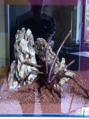 20110501 062.JPG