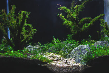 cube2.jpg