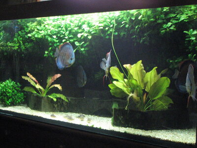 5_05_2011.JPG