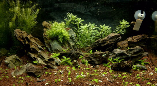 050520112002_3.jpg