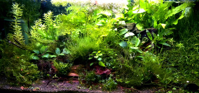 050520112007_2.jpg