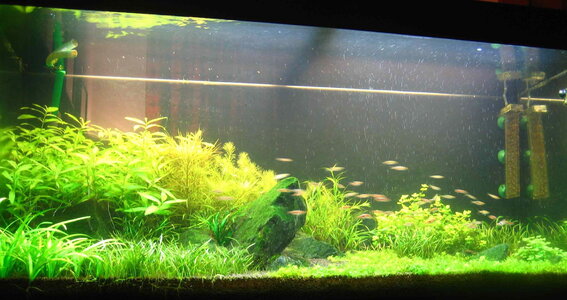 2011.01.jpg