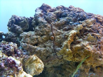 IMG_0495.JPG