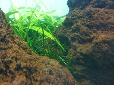 IMG_0528.JPG