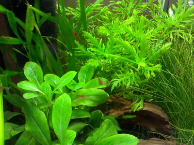 Foto-0004.jpg