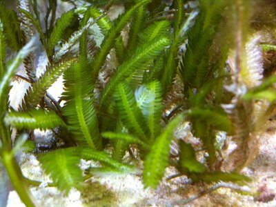 IMG_0593.JPG