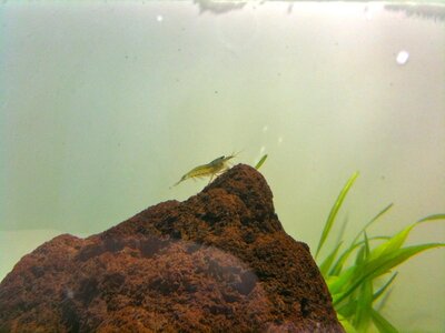 IMG_0579 2.JPG