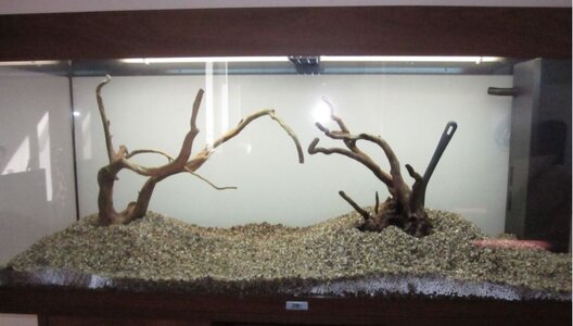 hardscape 2.JPG