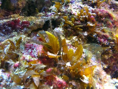 IMG_0625.JPG