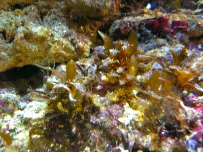IMG_0626.JPG