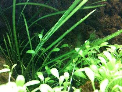IMG_0664.JPG