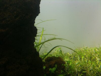 IMG_0669.JPG