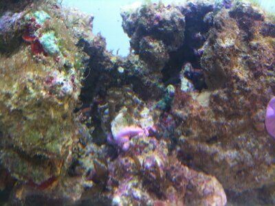 IMG_0707.JPG