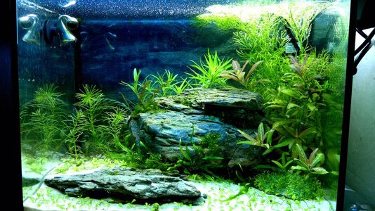 190620112488_13.JPG