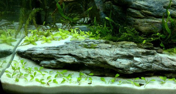 180620112460_1.jpg