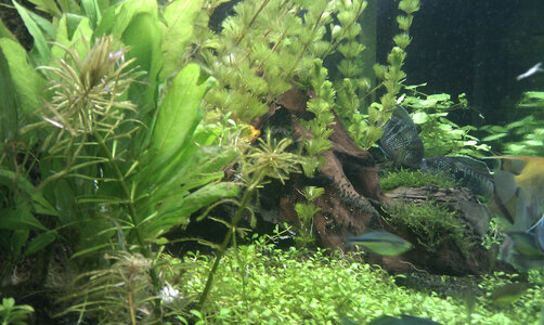 IMAG0128.jpg