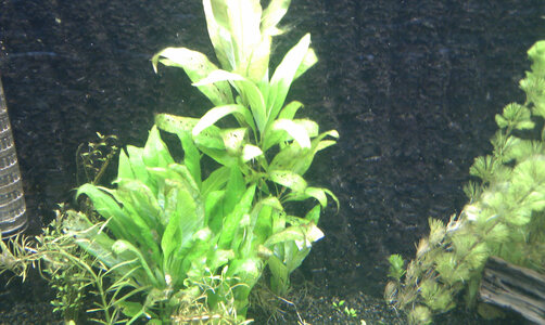IMAG0130.jpg