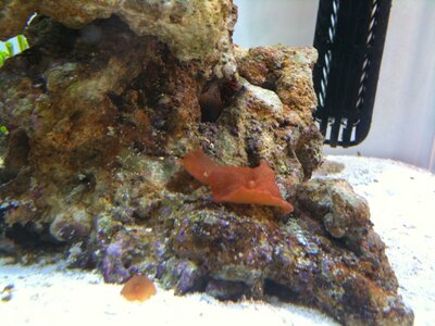 IMG_0744.JPG