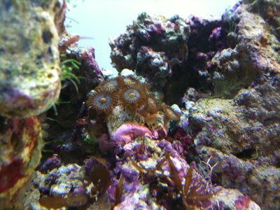 IMG_0747.JPG