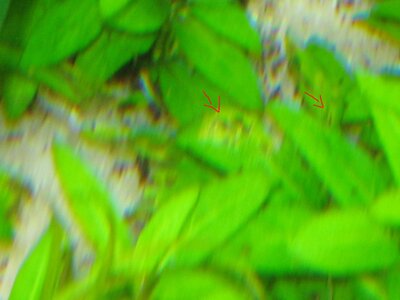 IMG_0023.jpg