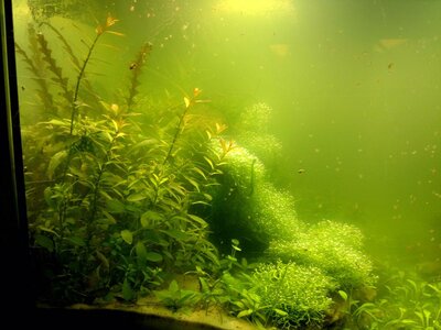 130720112703_1.jpg