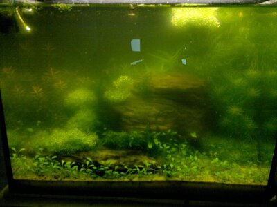 130720112702.jpg