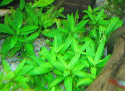 IMG_0026.JPG