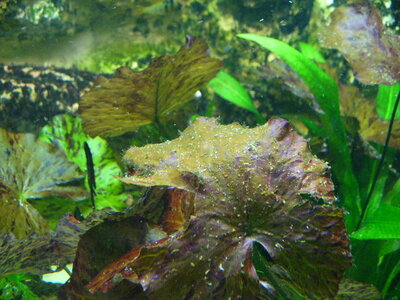 P1090260.JPG