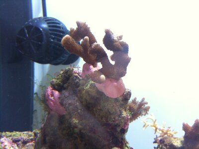 IMG_0829.JPG