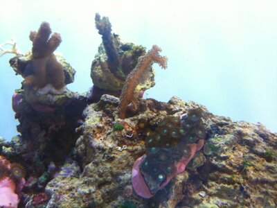 IMG_0825.JPG